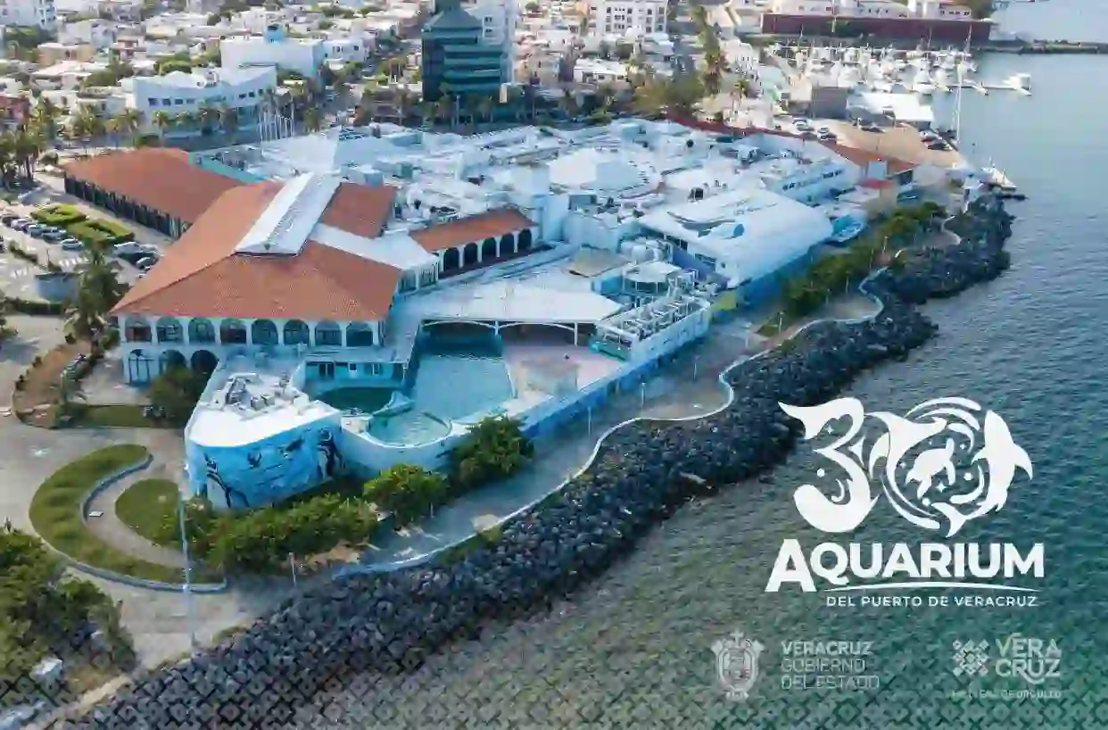 aquarium-1bajarlo mas